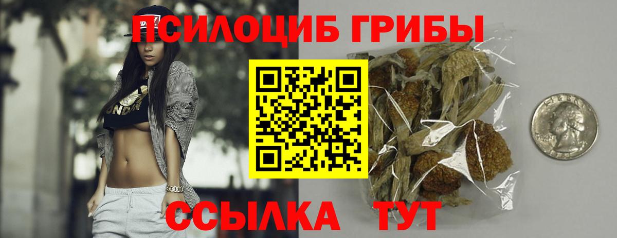 Псилоцибиновые грибы прущие грибы  Вход с VPN  Нерюнгри 